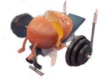 Жимовая лавка Скамья для Жима