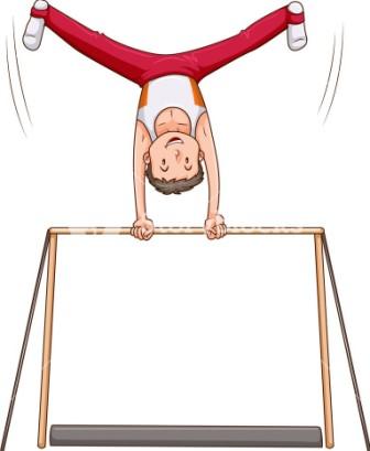 Козлы Кони Перекладины Гимнастическое оборудование